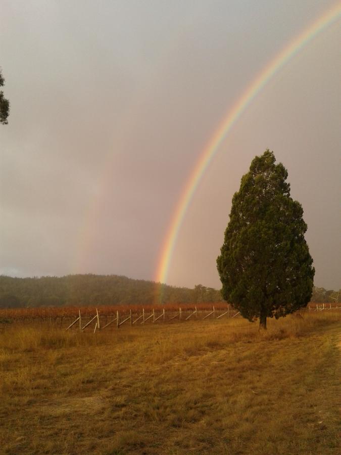 Whiskey Gully Wines Villa สแตนธอร์ป ภายนอก รูปภาพ